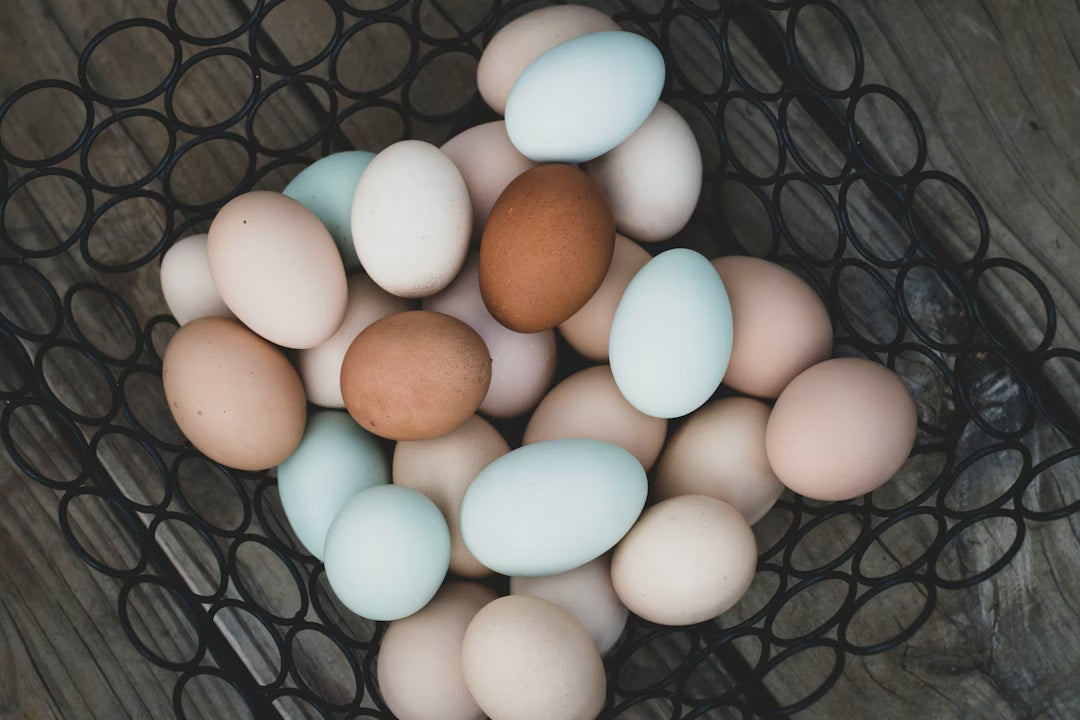 Farm Fresh Eggs